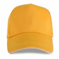 【封装10顶】鸭舌帽棒球帽广告帽定制logo定做印字太阳帽志愿者